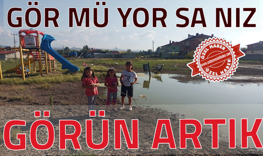 GÖR MÜ YOR SA NIZ,   GÖRÜN ARTIK…