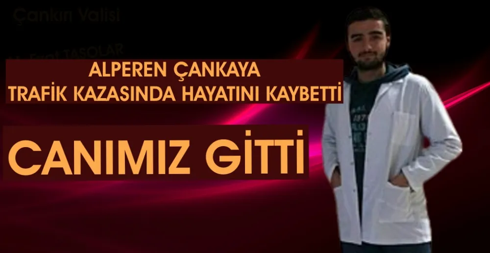 CANIMIZ GİTTİ