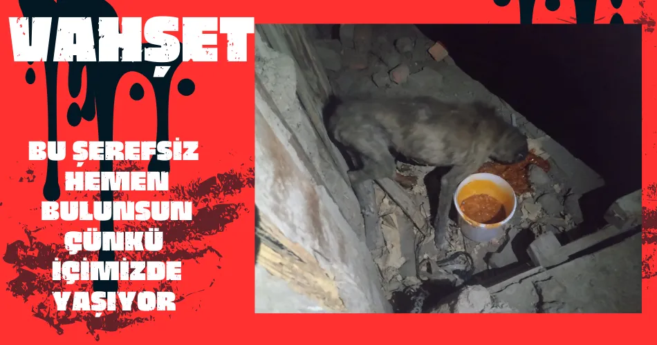 VAHŞET!. BU ŞEREFSİZ HEMEN BULUNSUN  ÇÜNKÜ İLÇEMİZDE YAŞIYOR