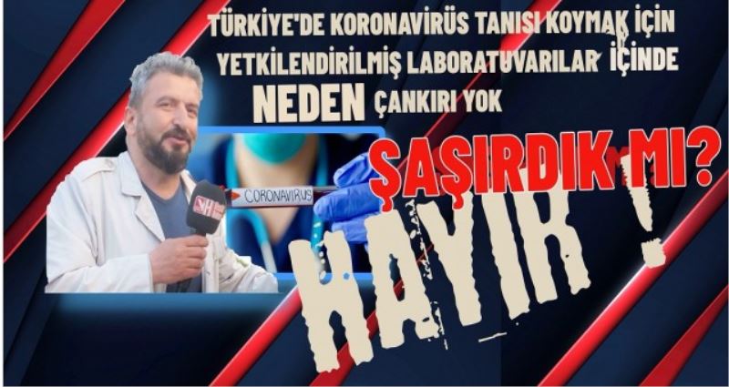 ÇANKIRI ŞAŞIRDIK MI     HAYIR