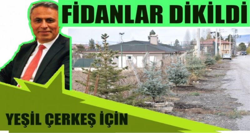 ÇERKEŞ AĞAÇLANDIRMA ÇALIŞMALARI DEVAM EDİYOR