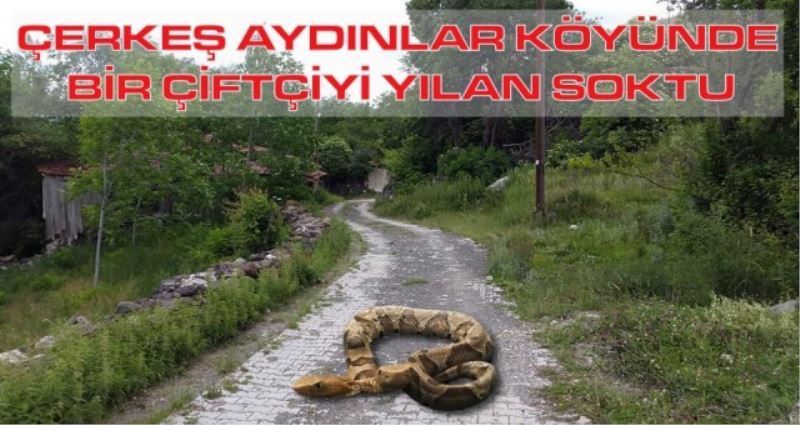 ÇERKEŞ AYDINLAR KÖYÜNDE BİR ÇİFTÇİYİ YILAN SOKTU