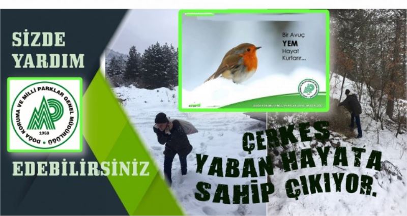 ÇERKEŞ YABAN HAYATA SAHİP ÇIKIYOR