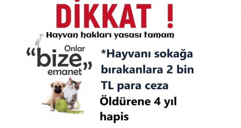 DİKKAT ! SOKAKLARA HAYVANLARINA EZİYET ETMEYİN