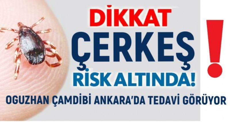 KENE TARAFINDAN  ISIRAN OGUZHAN ÇAMDİBİ ANKARA