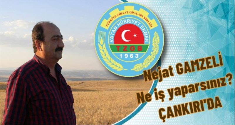 NEJAT GAMZELİ NE İŞ YAPARSINIZ ÇANKIRI