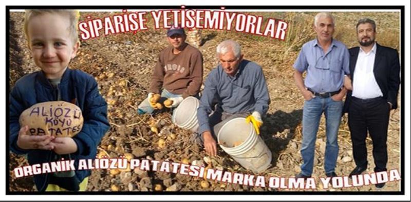 ORGANİK ÇERKEŞ ALİÖZÜ KÖYÜ PATATESİ MARKA OLMA YOLUNDA