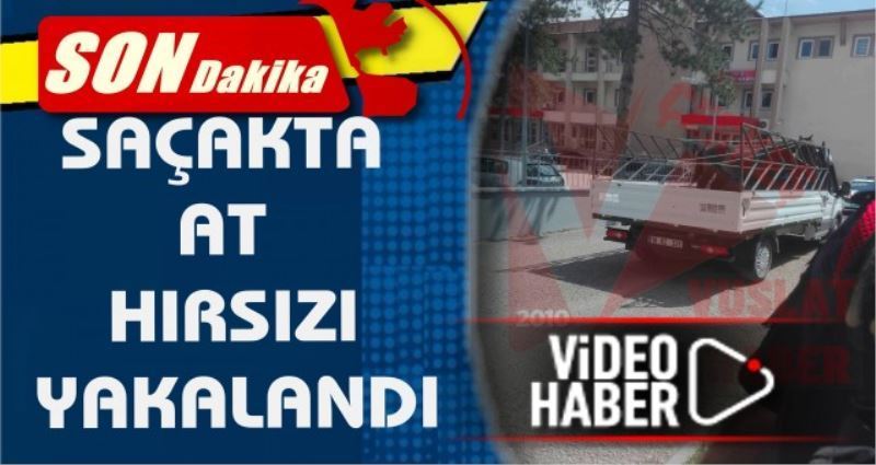 SAÇAKTA AT HIRSIZLARI YAKALANDI