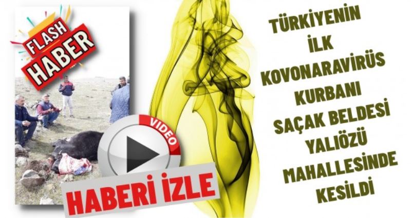 TÜRKİYENİN İLK KONORAVİRÜS KURBANI SAÇAK BELDESİ YALIÖZÜ KÖYÜNDE KESİLDİ