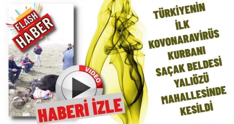 TÜRKİYENİN İLK KONORAVİRÜS KURBANI SAÇAK BELDESİ YALIÖZÜ KÖYÜNDE KESİLDİ