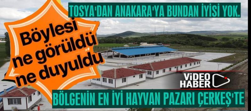 BÖLGENİN EN İYİ HAYVAN PAZARI ÇERKEŞ